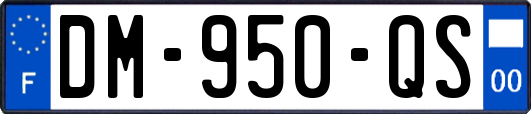 DM-950-QS