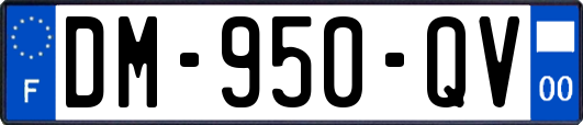 DM-950-QV