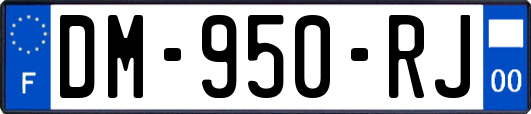DM-950-RJ