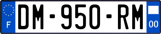 DM-950-RM