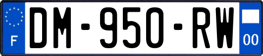 DM-950-RW