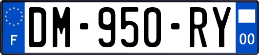 DM-950-RY