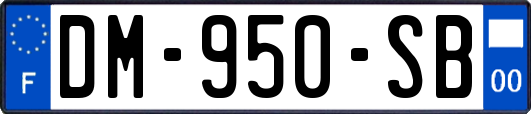 DM-950-SB