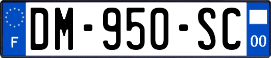 DM-950-SC