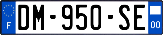 DM-950-SE