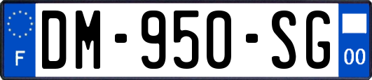 DM-950-SG