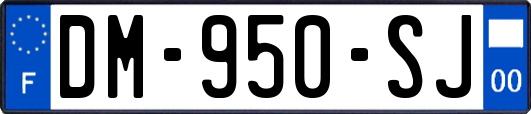DM-950-SJ