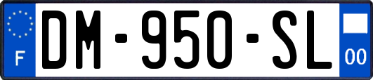 DM-950-SL