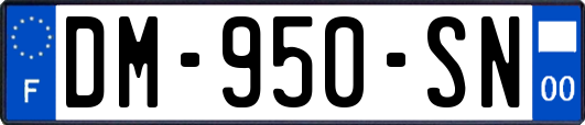 DM-950-SN