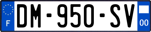 DM-950-SV