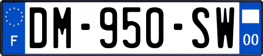 DM-950-SW
