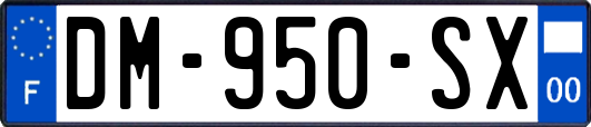 DM-950-SX