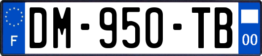 DM-950-TB