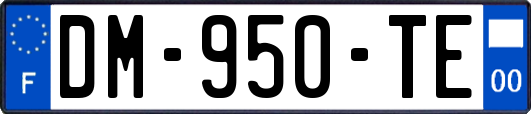 DM-950-TE