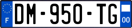 DM-950-TG