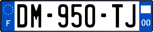 DM-950-TJ