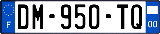 DM-950-TQ