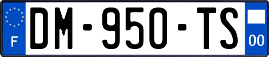 DM-950-TS