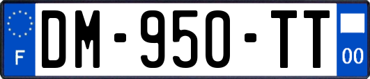 DM-950-TT