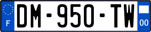 DM-950-TW