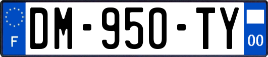 DM-950-TY