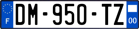 DM-950-TZ