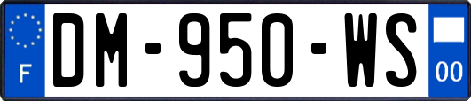 DM-950-WS