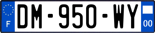 DM-950-WY