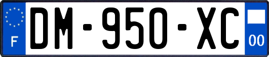 DM-950-XC