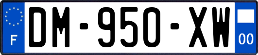 DM-950-XW