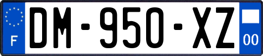 DM-950-XZ