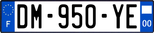 DM-950-YE