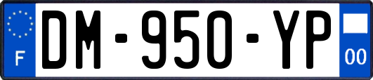 DM-950-YP