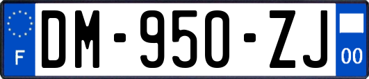 DM-950-ZJ