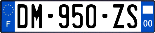 DM-950-ZS