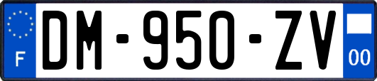 DM-950-ZV