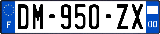 DM-950-ZX