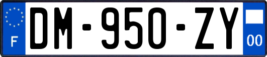 DM-950-ZY