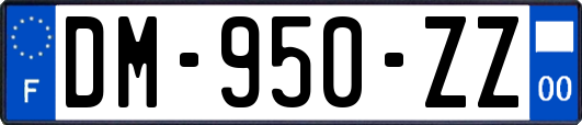 DM-950-ZZ