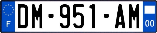 DM-951-AM