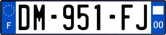 DM-951-FJ