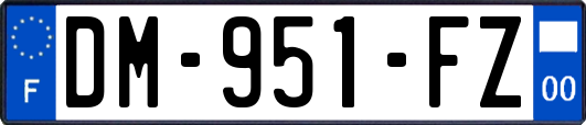 DM-951-FZ