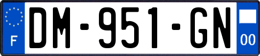 DM-951-GN