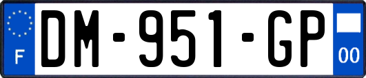 DM-951-GP