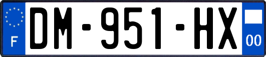 DM-951-HX