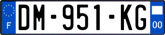 DM-951-KG