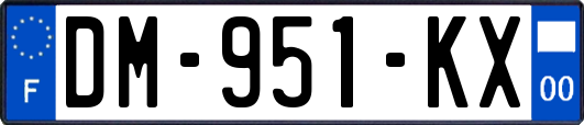 DM-951-KX