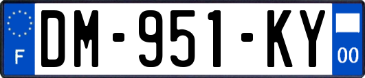 DM-951-KY
