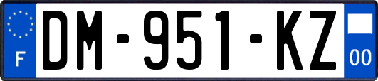 DM-951-KZ