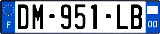 DM-951-LB